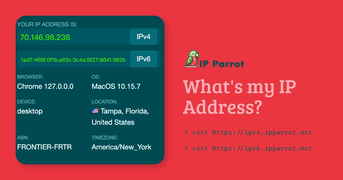 IPParrot featured image
