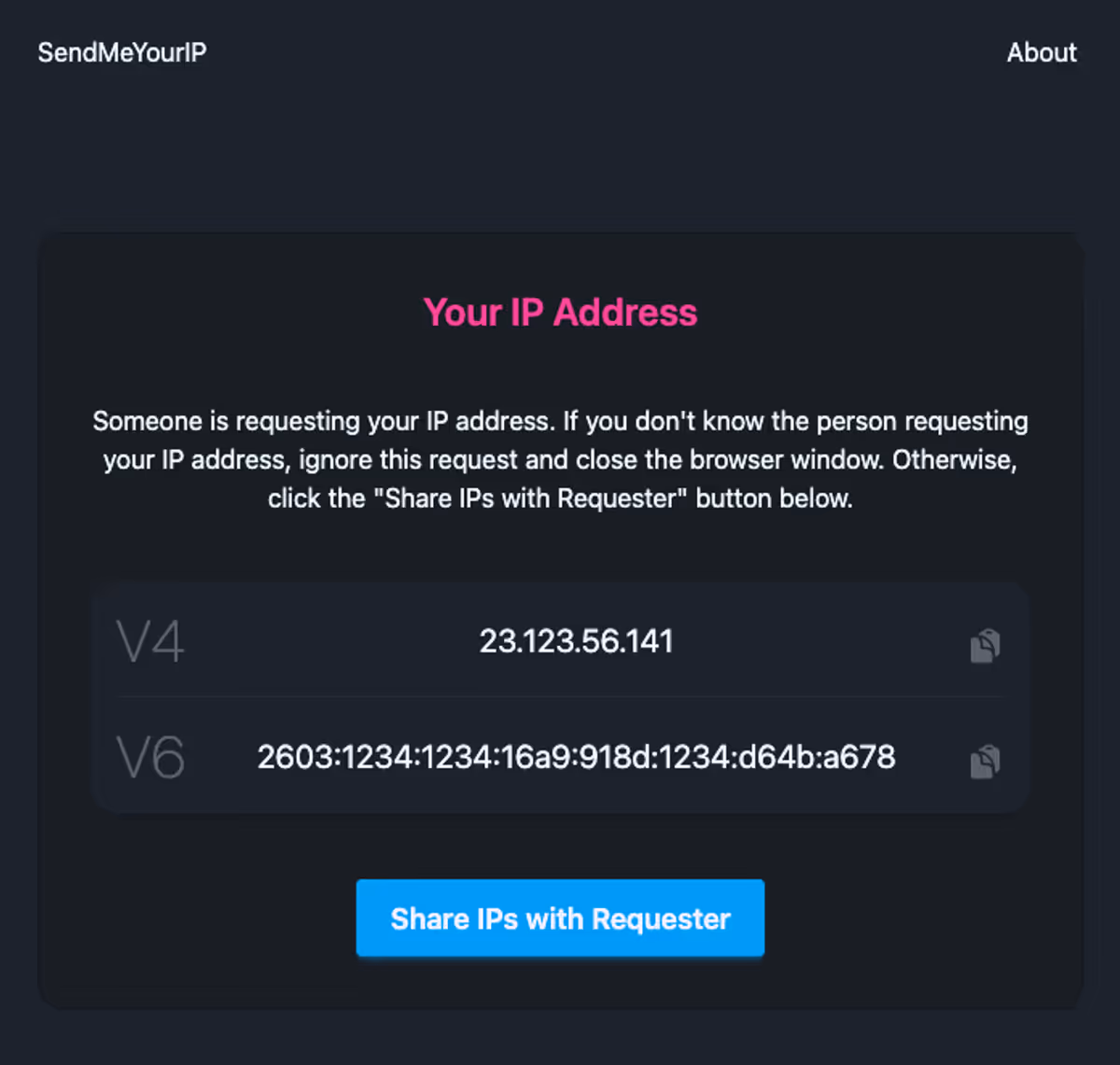SendMeYourIP image 2